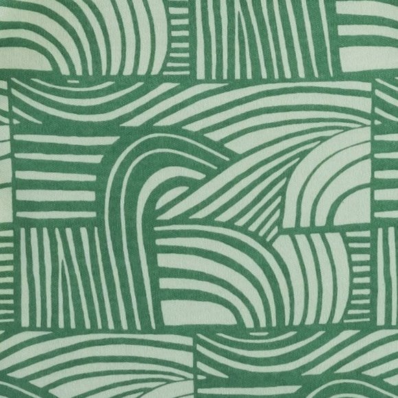 NWT Kate Quinn Green Mod Zebra Boxy Tee Tshirt Organic Cotton - Picture 2 of 2